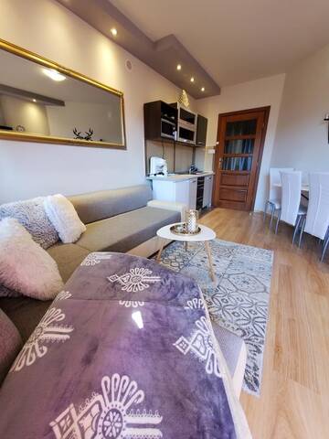 Фотографии Апартаменты Apartament Morskie Oko г. Косцелиско (Польша) №4 Фото Апартаменты Apartament Morskie Oko г. Косцелиско 4