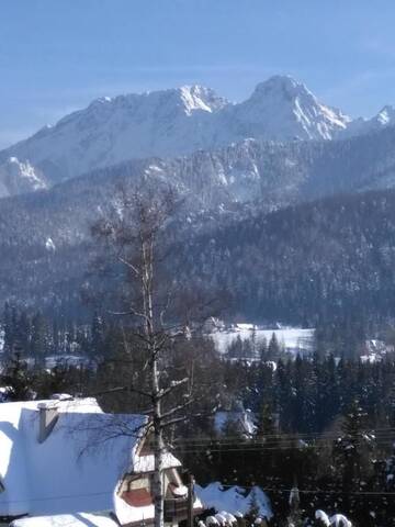 Фото номера Апартаменты (для 6 взрослых) Апартаменты Apartament Słoneczny Zakopane г. Косцелиско 57