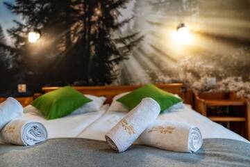 Фото номера Двухместный номер с 1 кроватью Отель Hotel Eco Tatry Resort &amp; Holiday г. Косцелиско 15