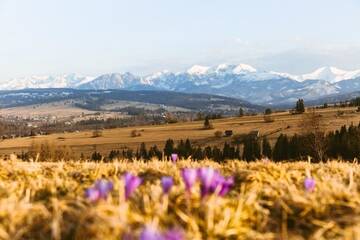 Фото номера Шале с двумя спальнями Шале Czarna Owca г. Косцелиско 53