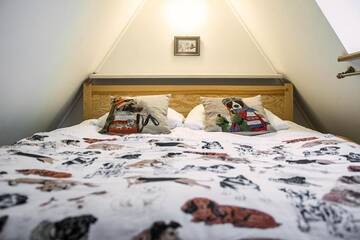 Фото номера Двухуровневые апартаменты Апартаменты Apartament Chateau Tatry Karpielówka г. Косцелиско 38