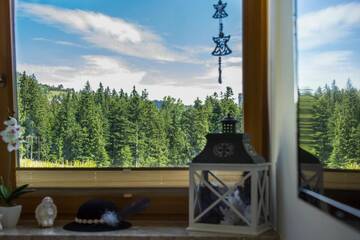 Фото номера Апартаменты с видом на горы Апартаменты Apartamenty Polana Sywarne Zakopane г. Косцелиско 15
