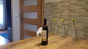 Фото номера Апартаменты с видом на горы Апартаменты Apartament Stalowy Kościelisko Sywarne г. Косцелиско 50