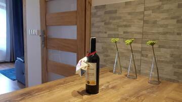Фото номера Апартаменты с видом на горы Апартаменты Apartament Stalowy Kościelisko Sywarne г. Косцелиско 20