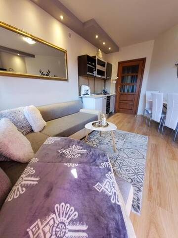 Фото номера Апартаменты с 1 спальней и террасой Апартаменты Apartament Morskie Oko г. Косцелиско 89