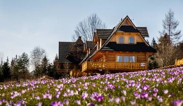 Фото номера Premium Holiday Home with Chimney Дома для отпуска TatryTop Luxury Chalets Zakopane г. Косцелиско 10